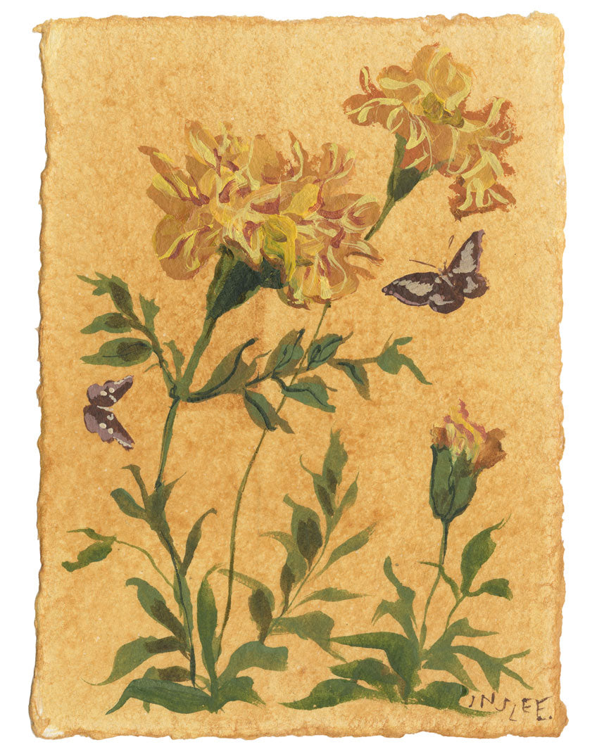 October’s Marigold No. 5