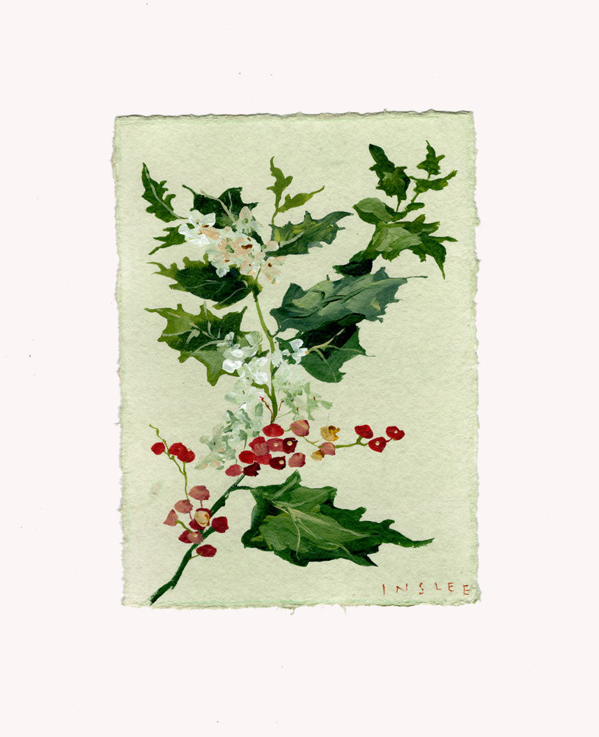 December's Holly No. 9