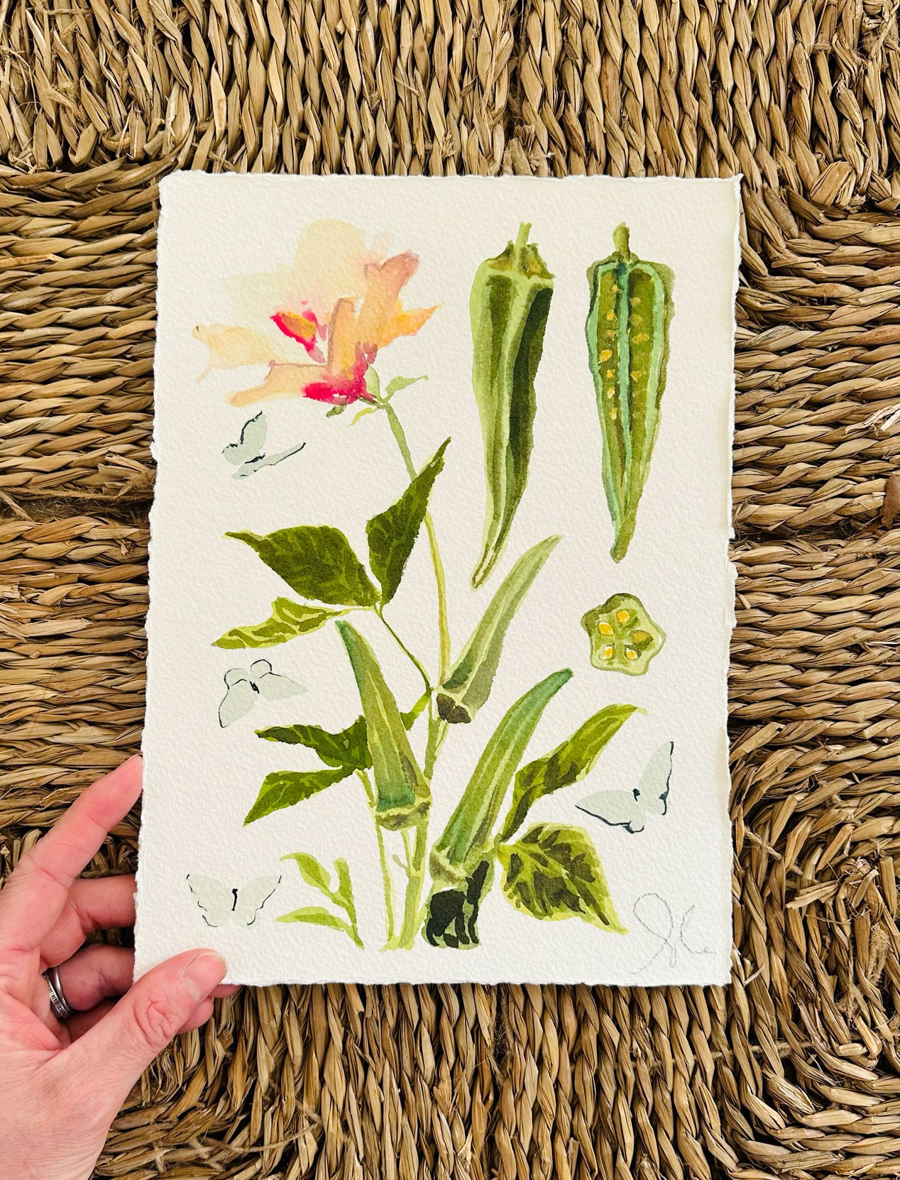 Okra