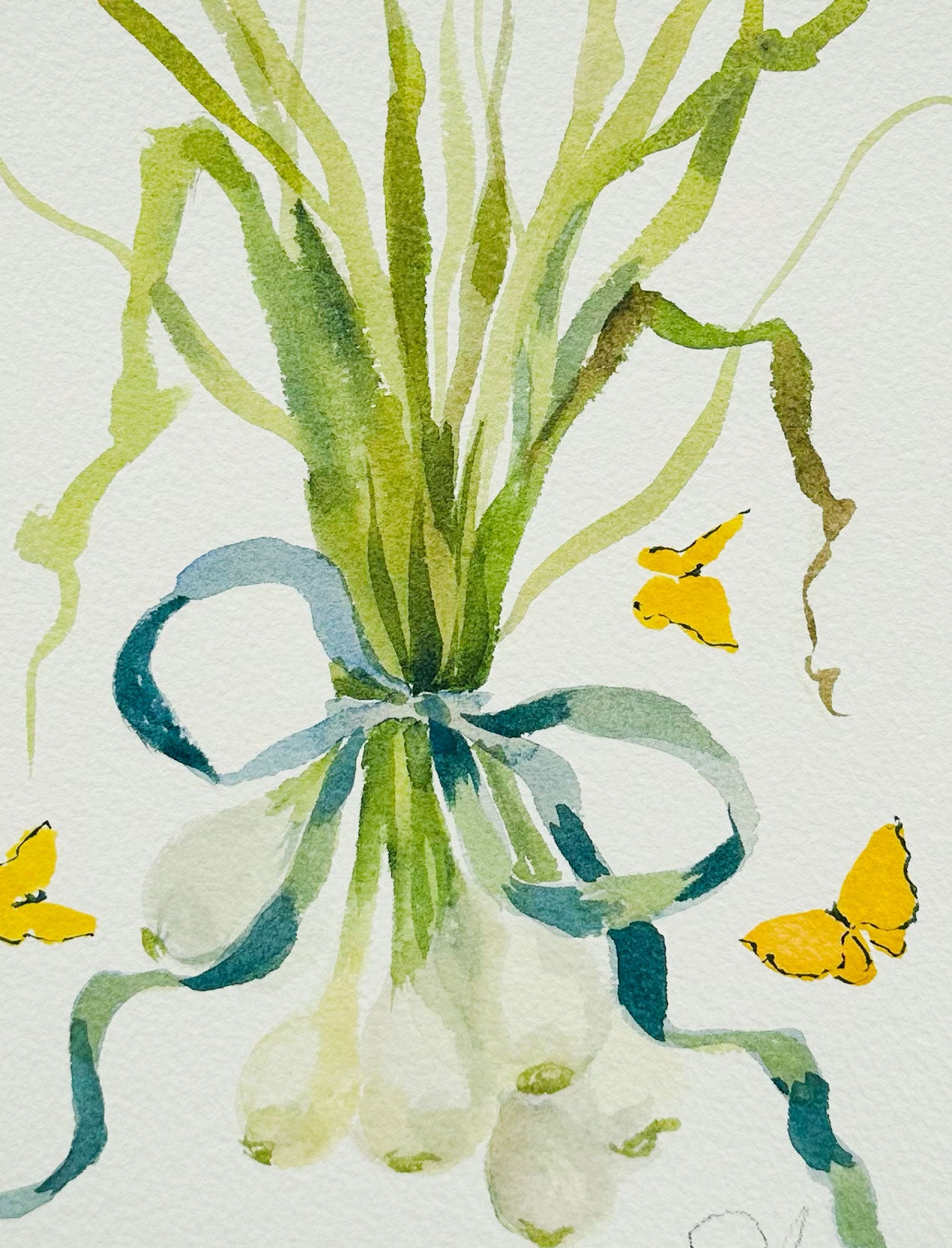 Spring Onion