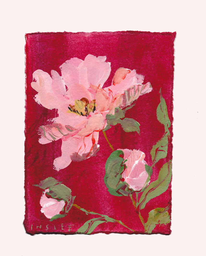 November's Peony No. 11