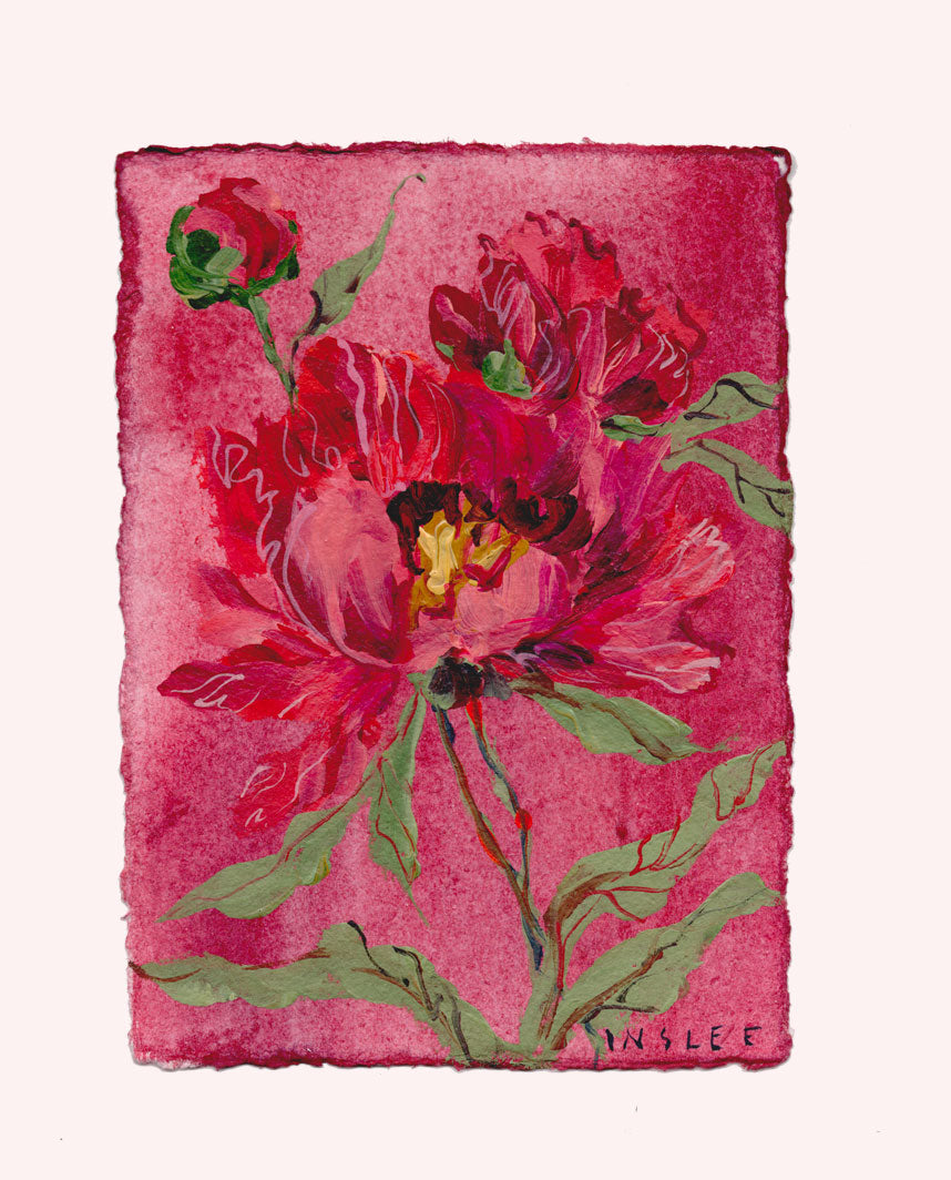 November's Peony No. 12