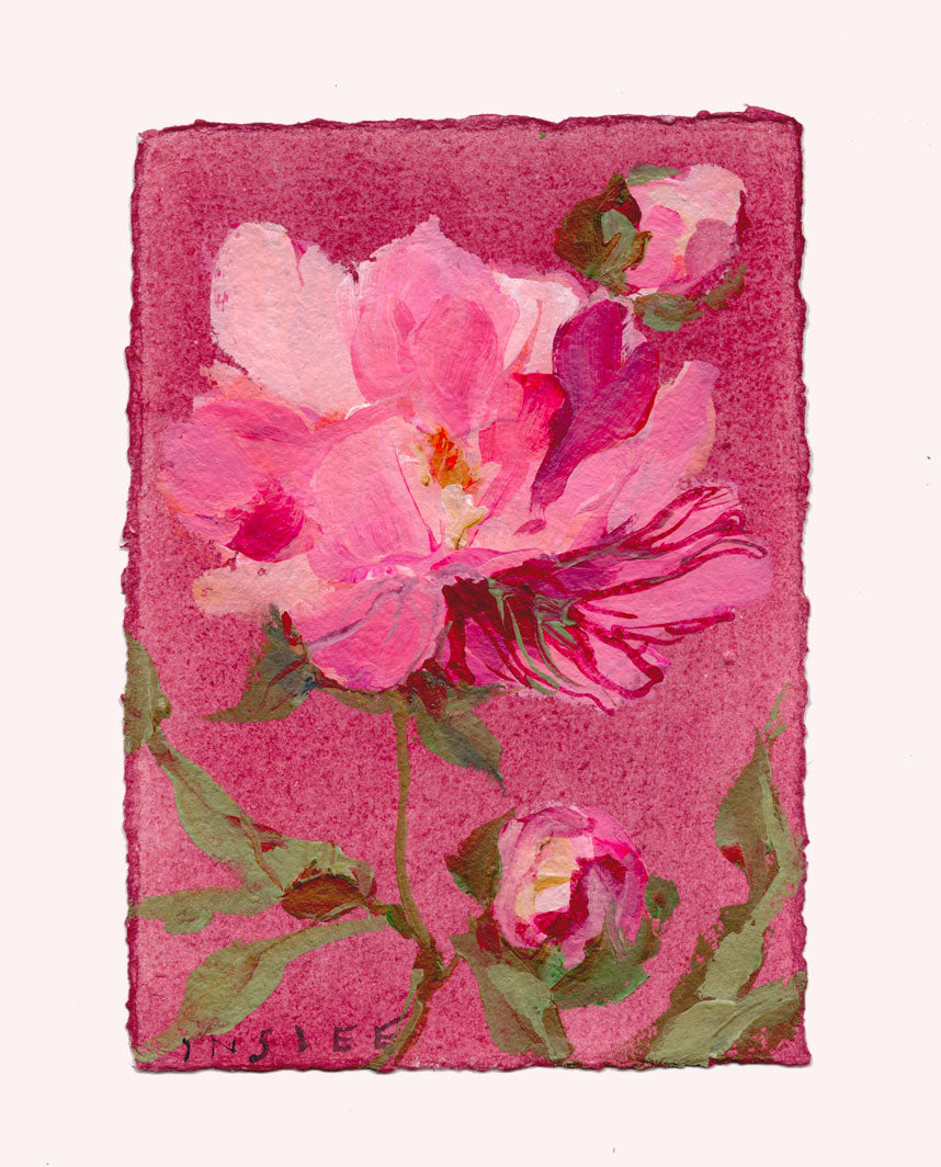 November's Peony No. 13