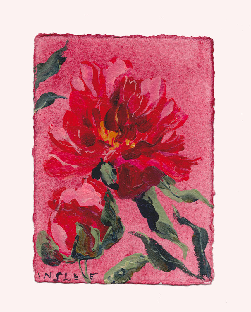 November's Peony No. 14