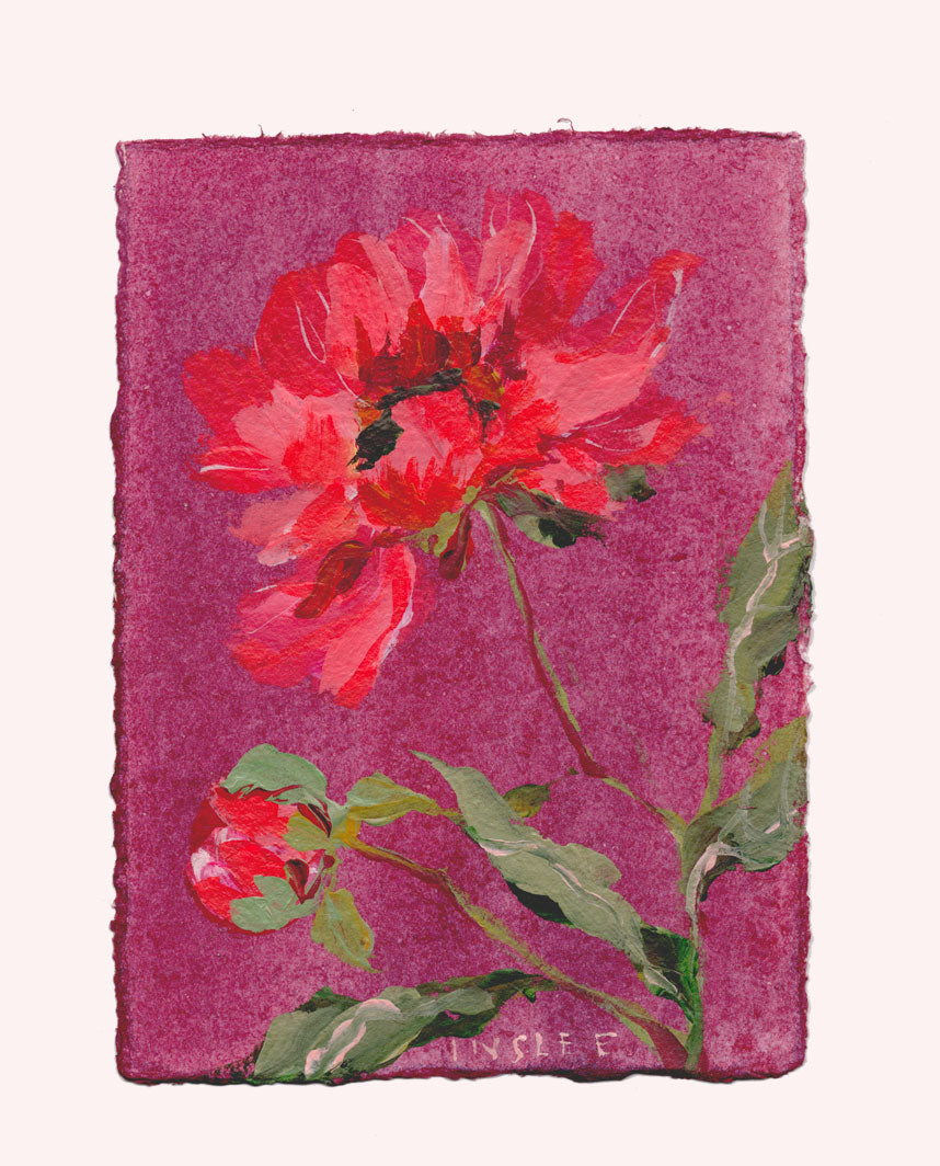 November's Peony No. 15