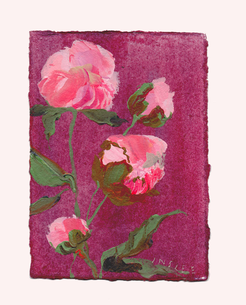 November's Peony No. 16