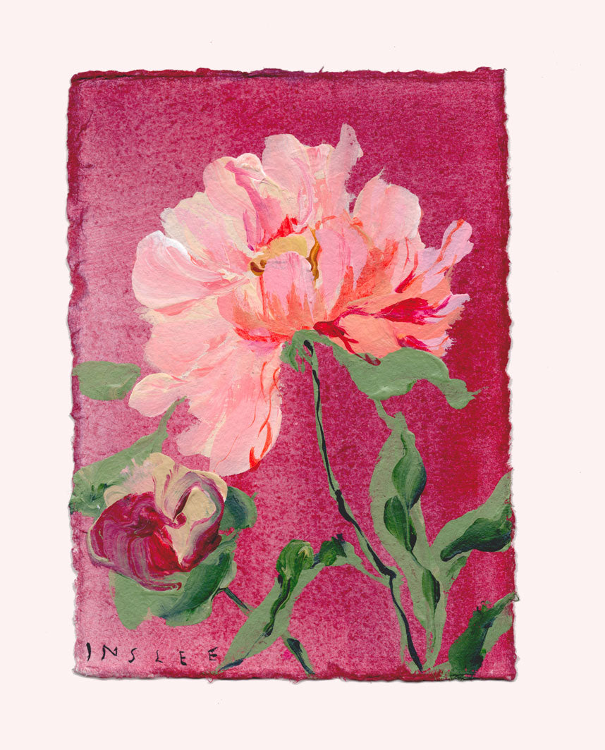 November's Peony No. 17