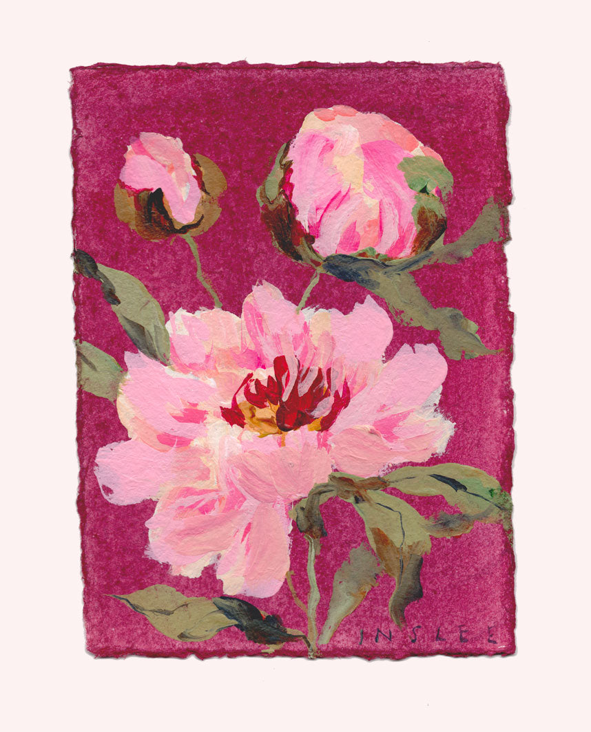 November's Peony No. 18