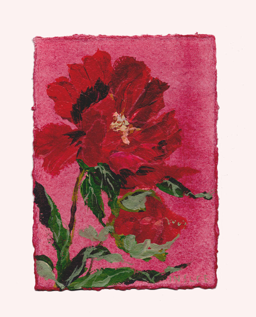 November's Peony No. 1