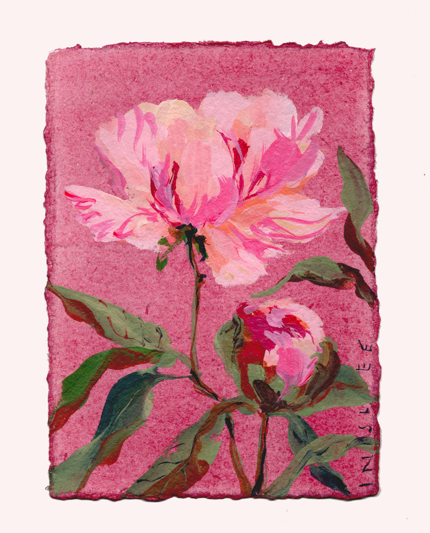 November's Peony No. 2