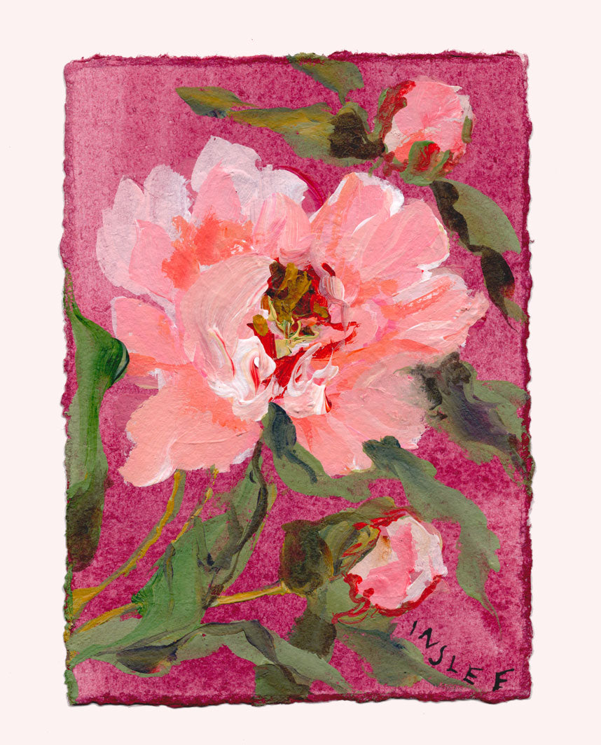 November's Peony No. 5