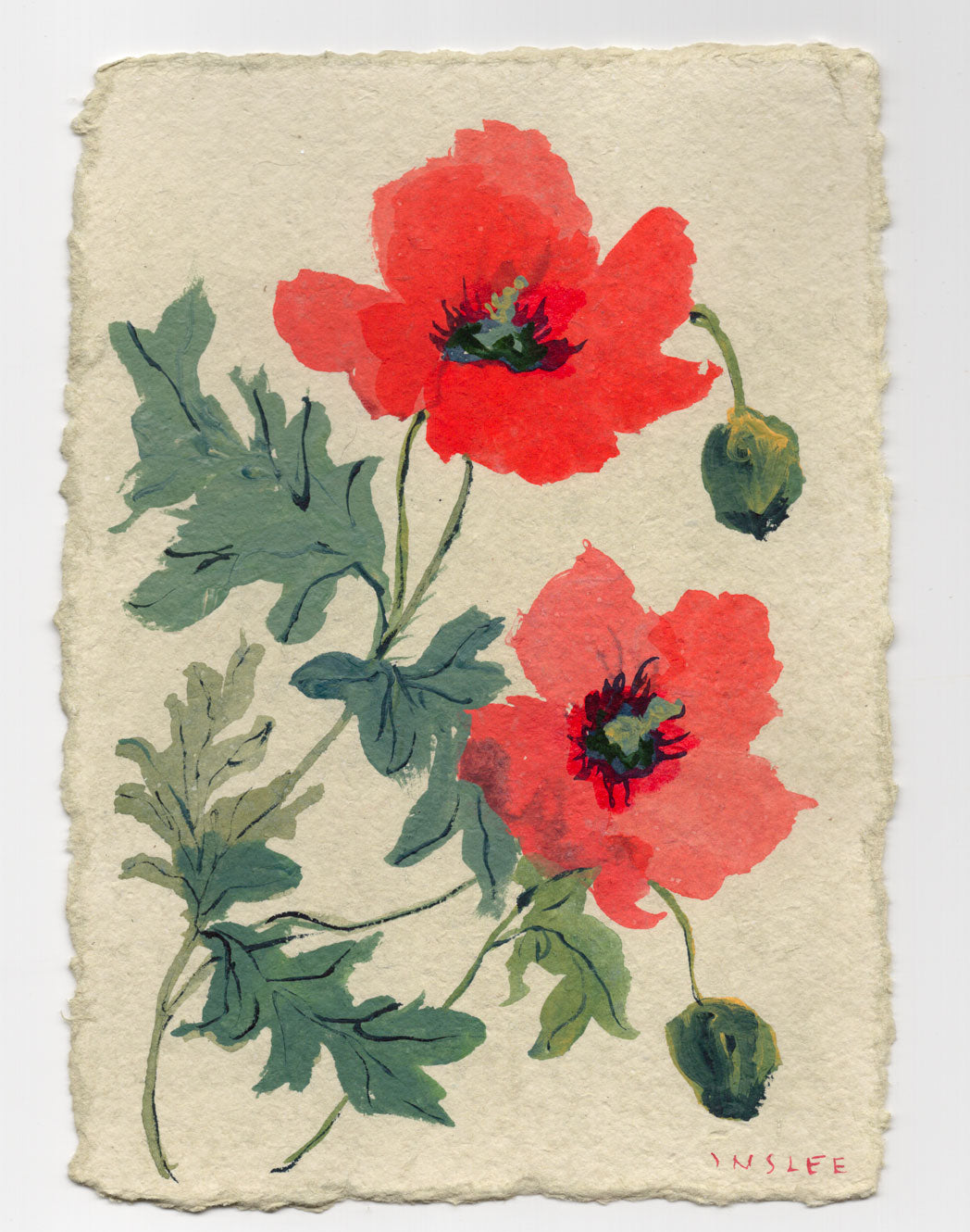August's Poppy No. 6