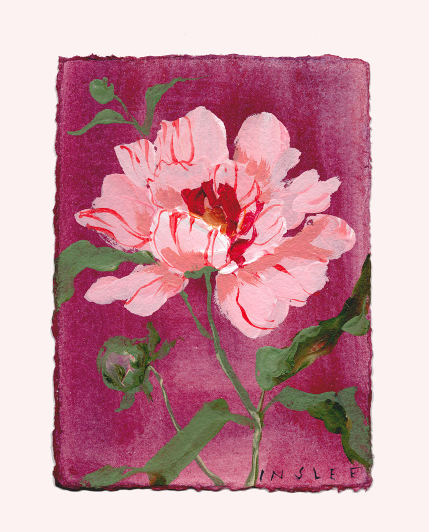 November's Peony No. 6