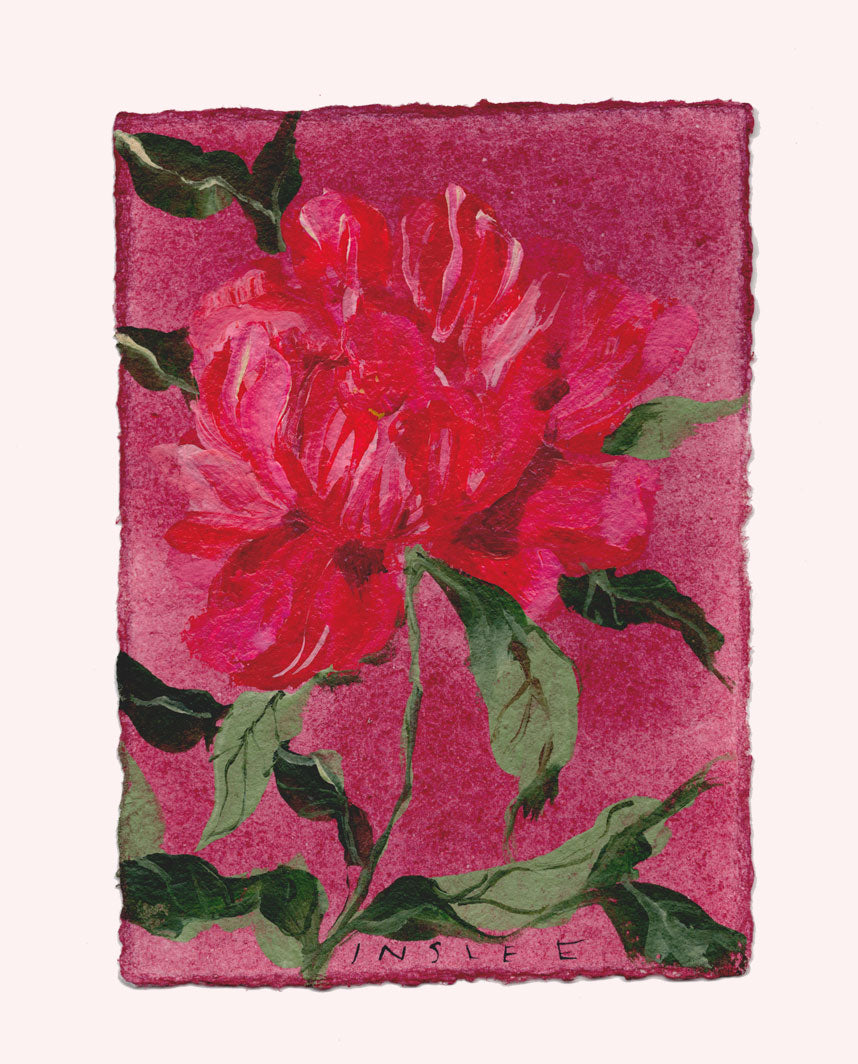 November's Peony No. 7