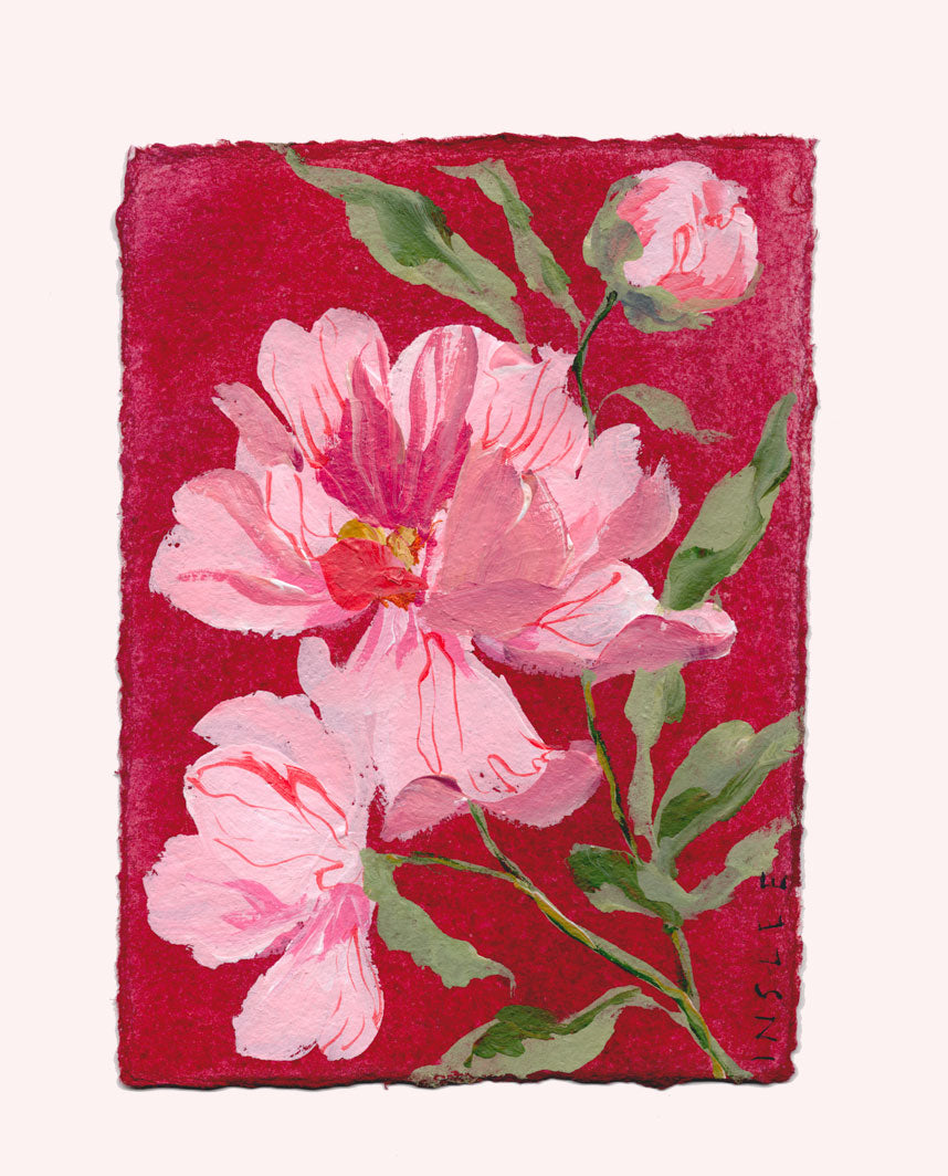 November's Peony No. 9