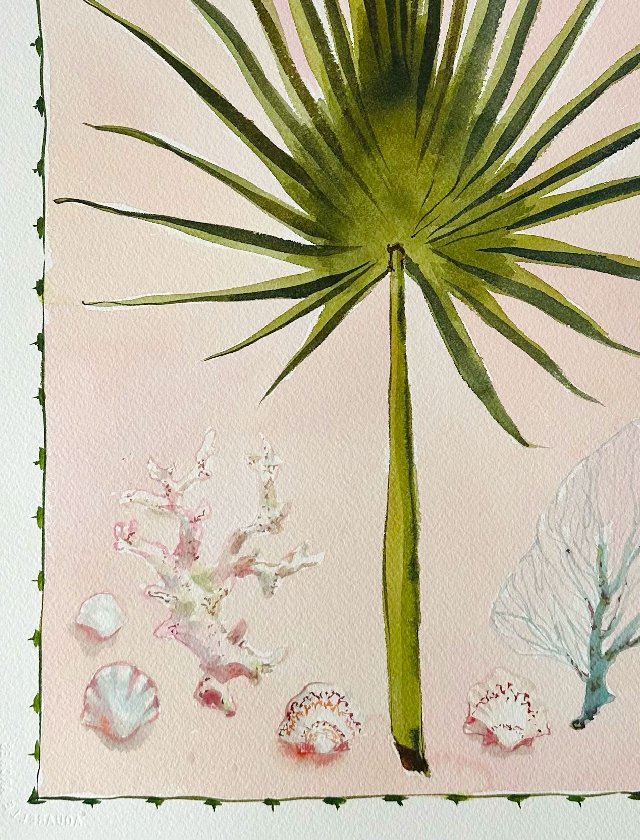 Palm and Sea Treasures