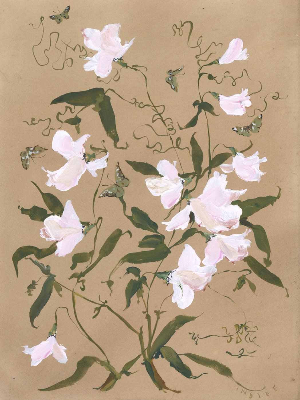 Sweet Pea on Green Tea