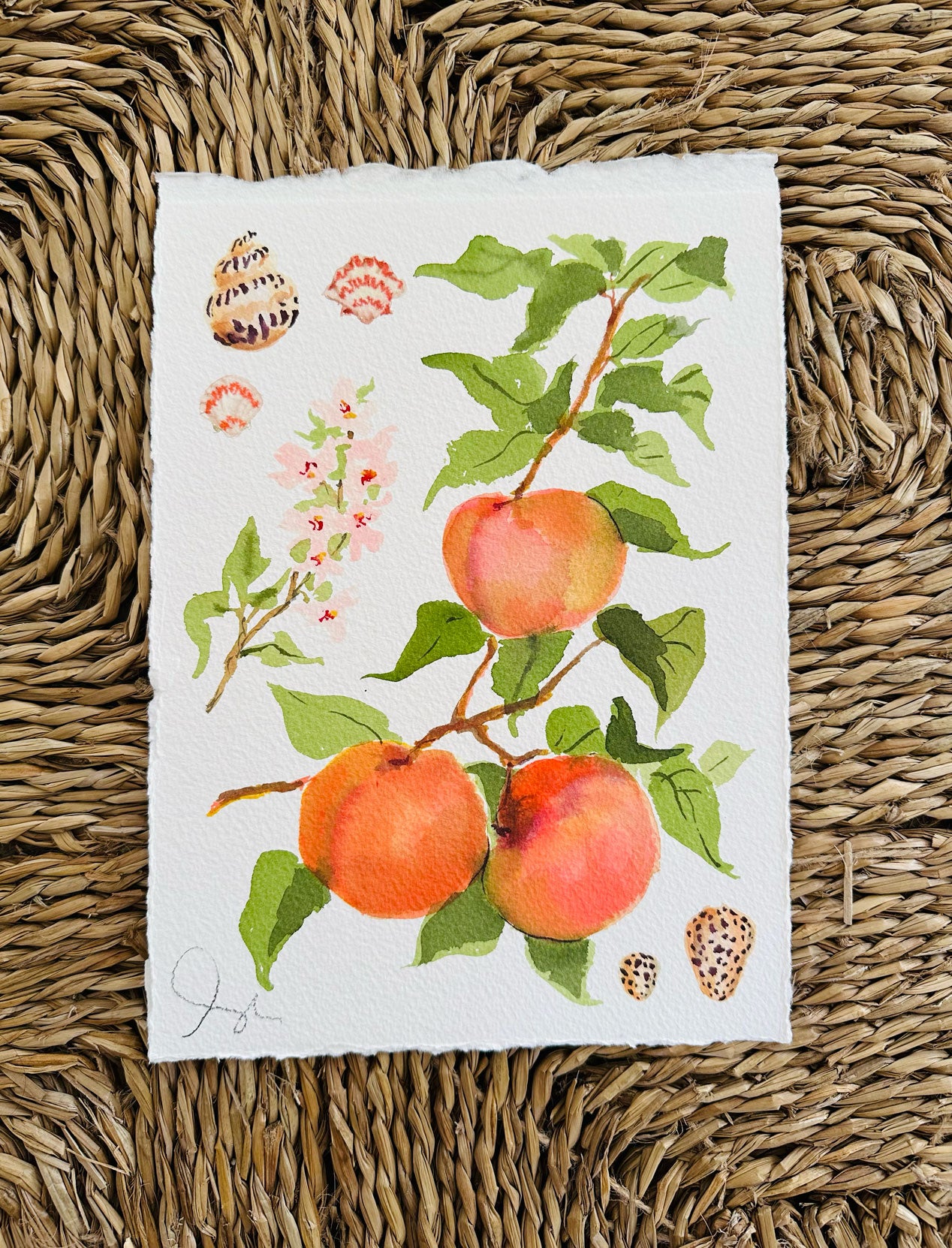 Peaches