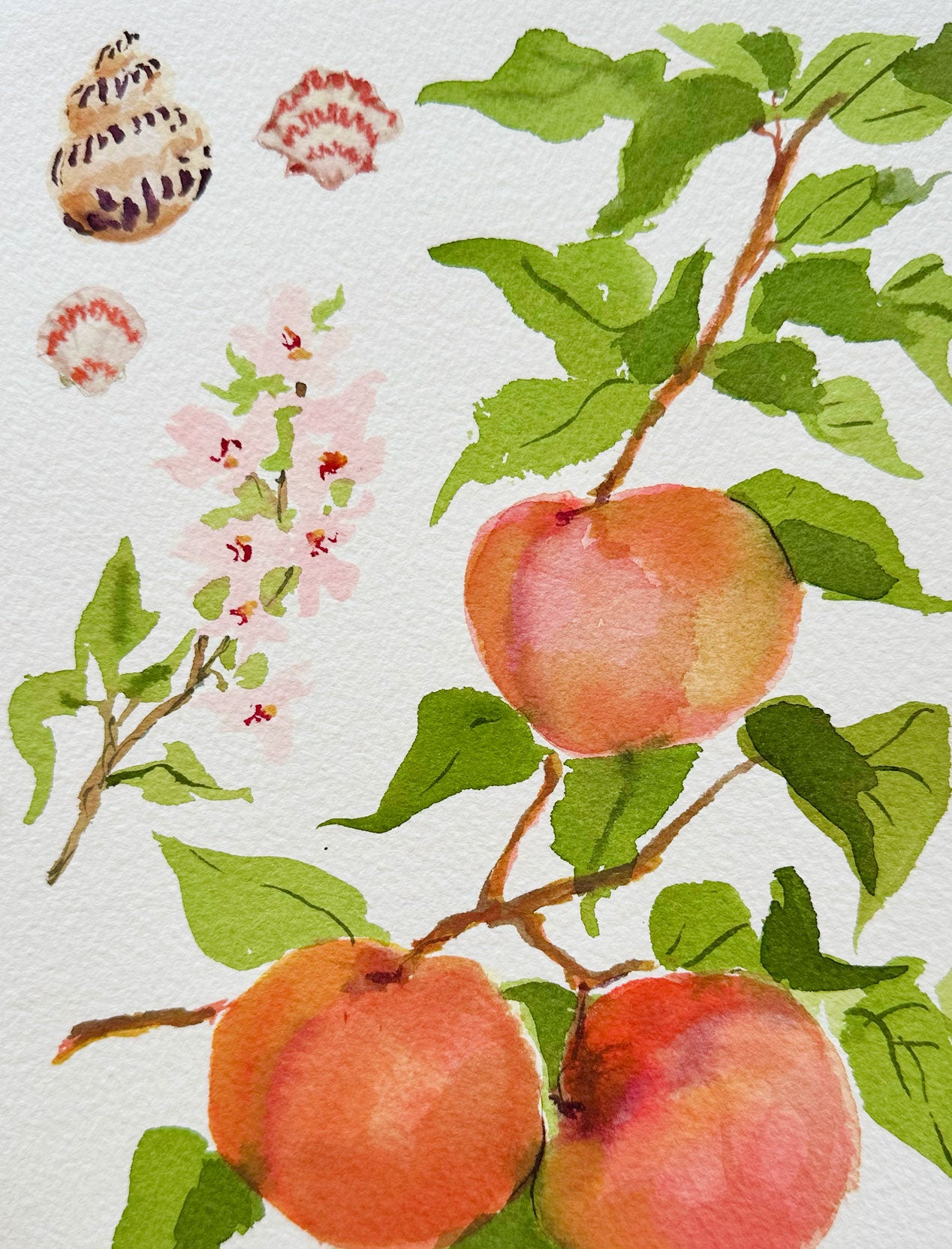 Peaches
