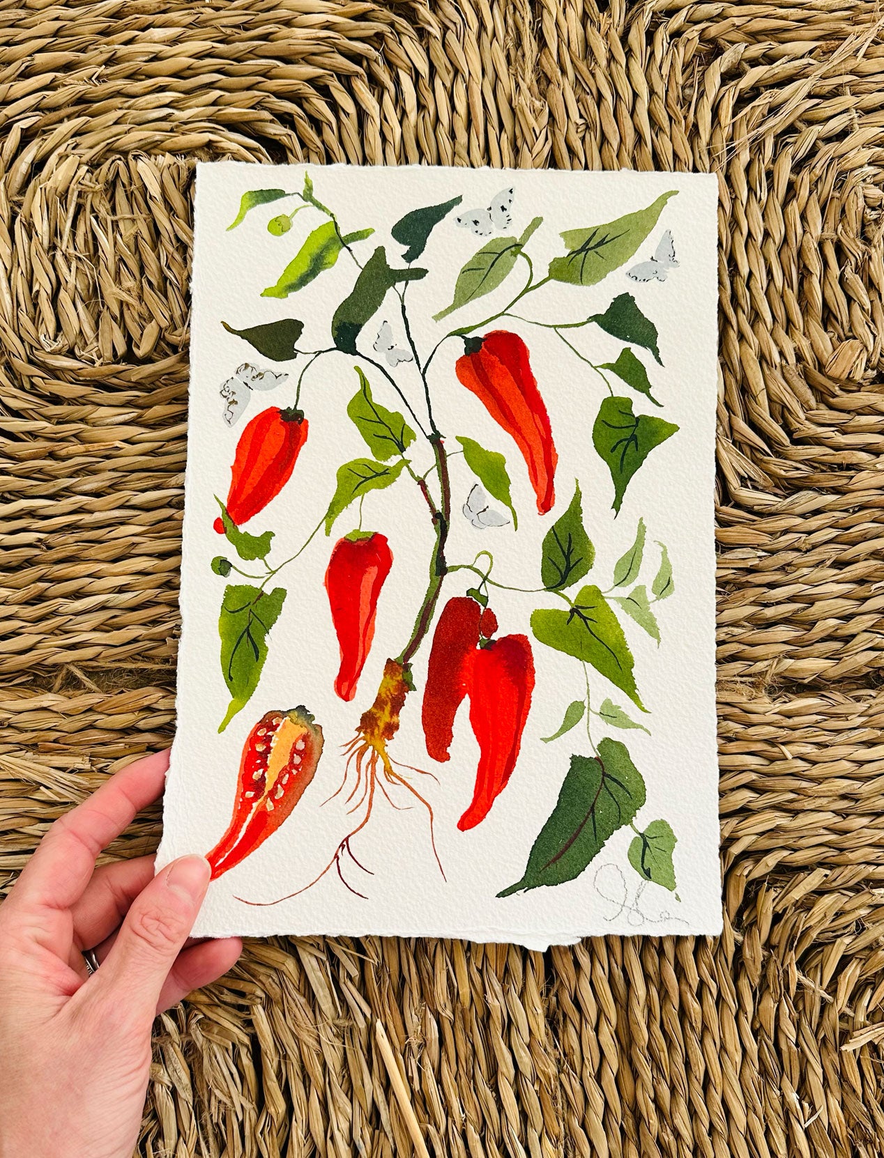 Pepper