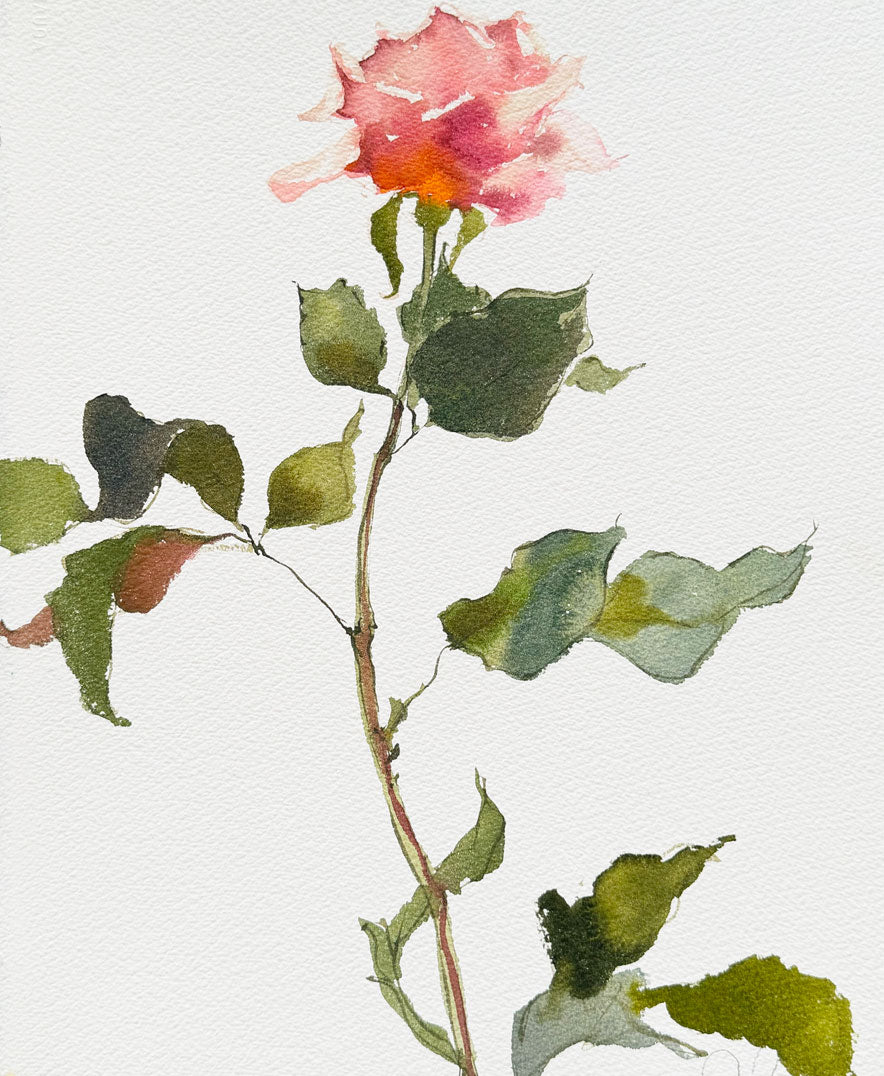 Rose Study No. 2