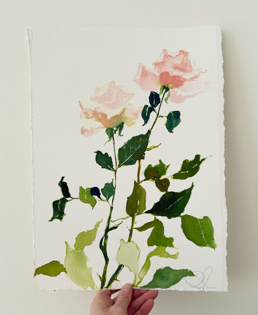 Rose Study No. 6