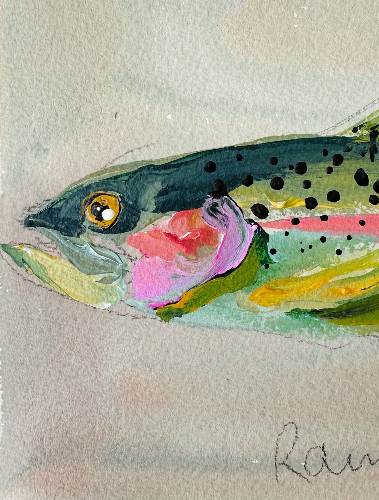 Rainbow Trout