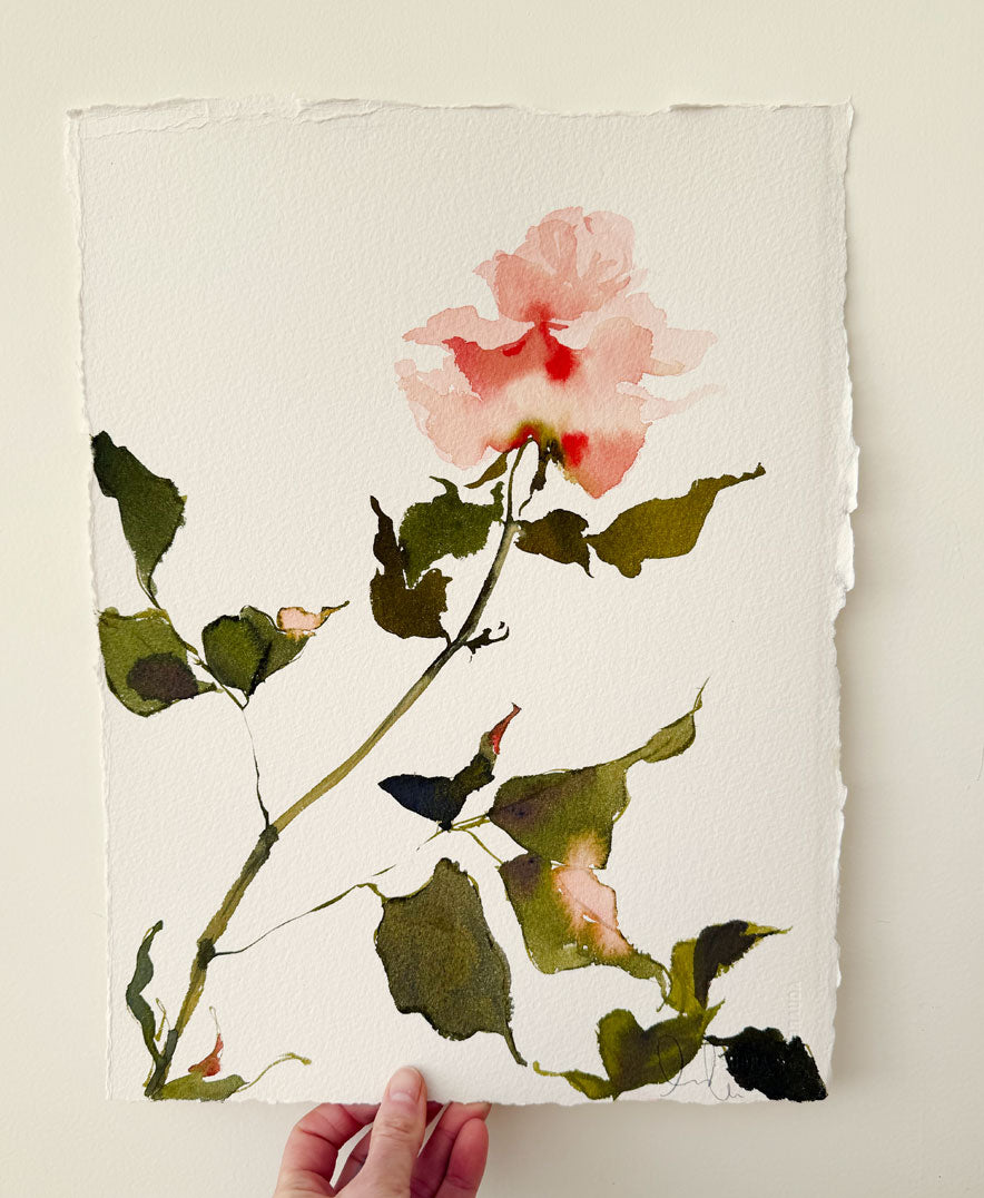 Rose Study No. 1