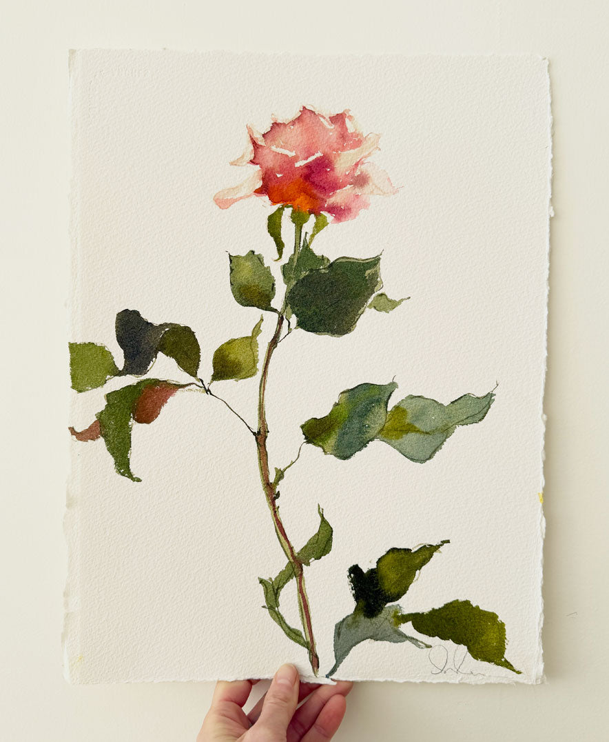 Rose Study No. 2