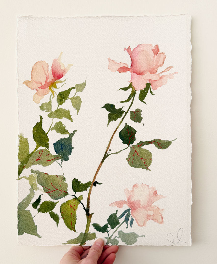 Rose Study No. 5
