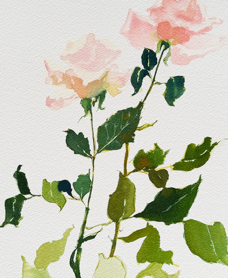 Rose Study No. 6