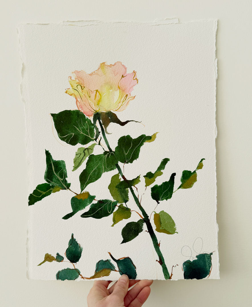 Rose Study No. 7