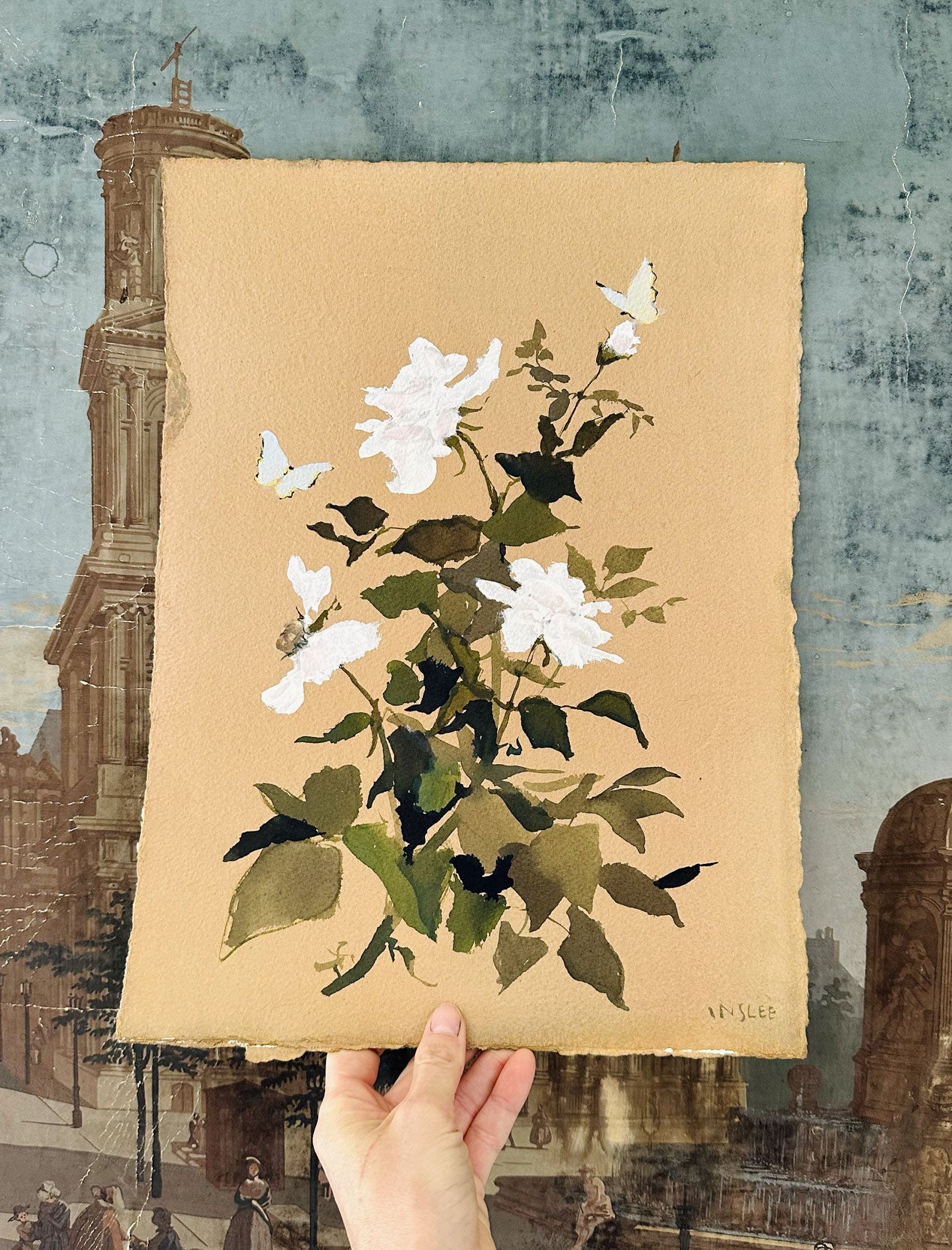 Rose - Fawn Series