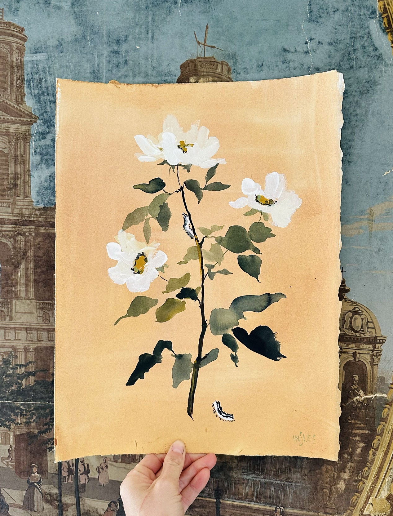 Rose - Fairytale Series