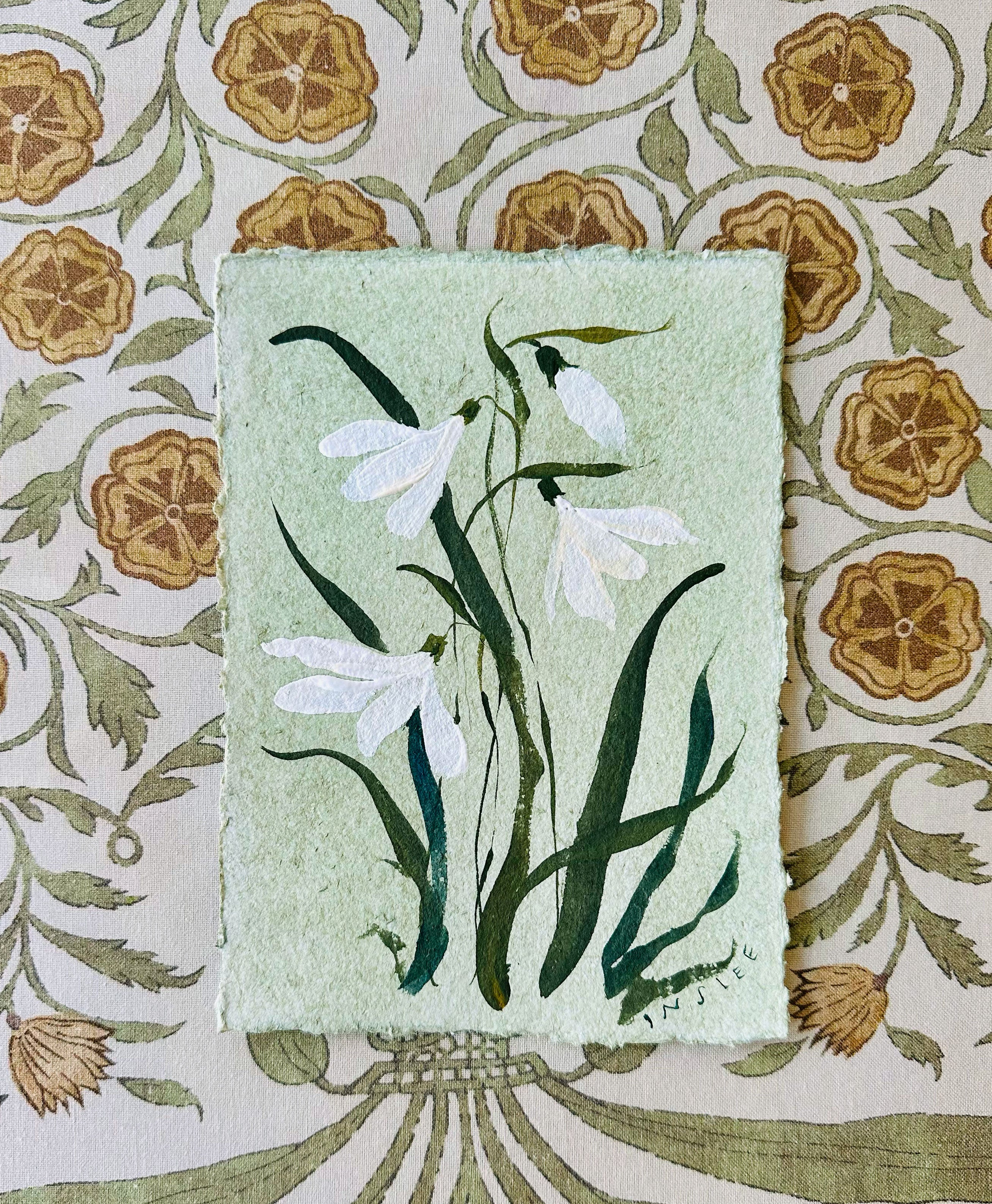 January's Snow Drop No. 11