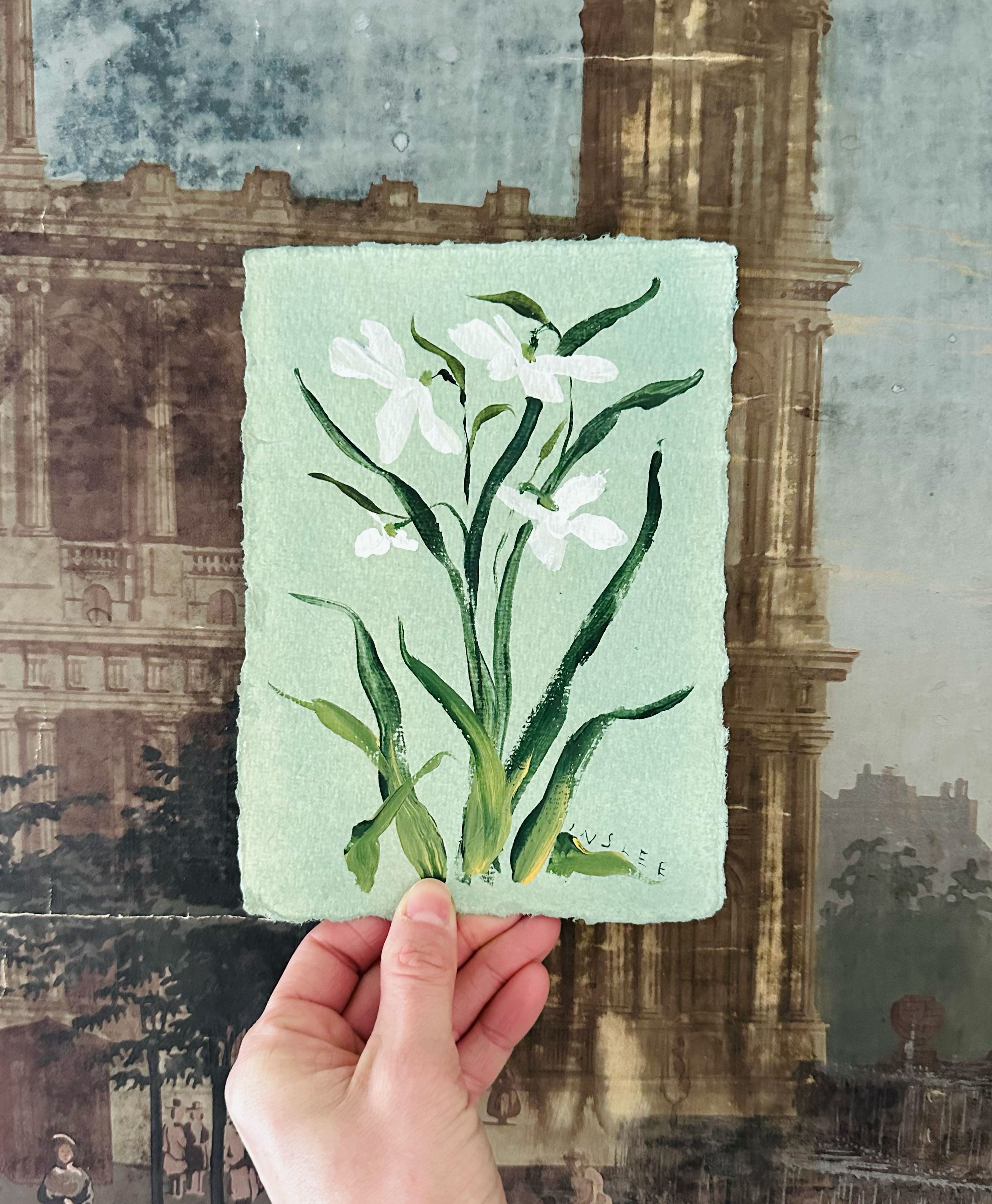 January's Snow Drop No. 13