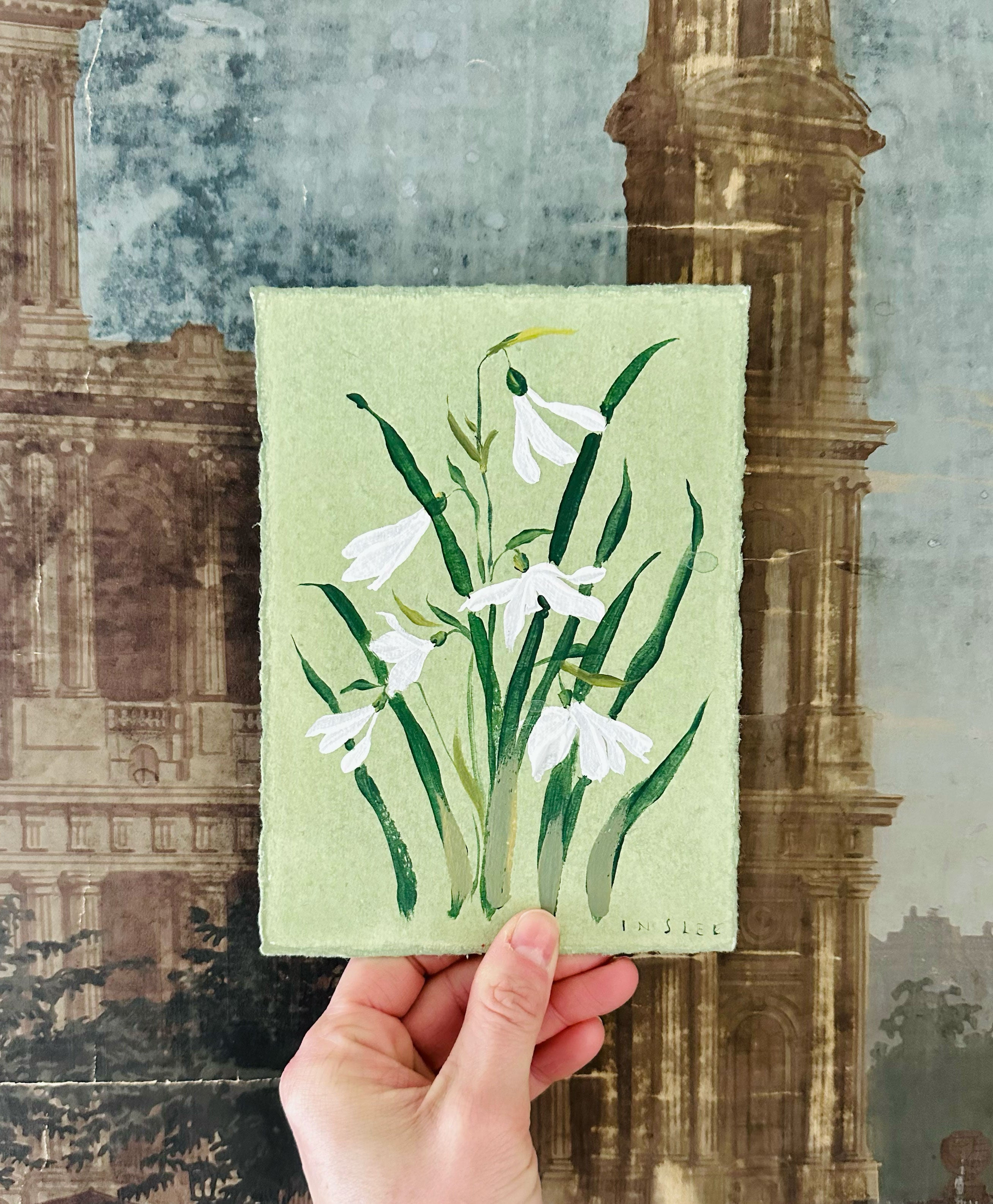 January's Snow Drop No. 6