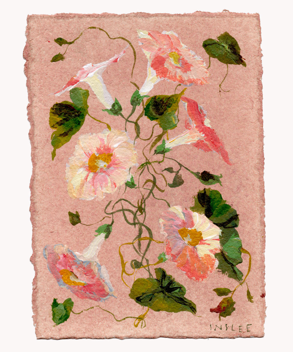 September's Morning Glory No. 1