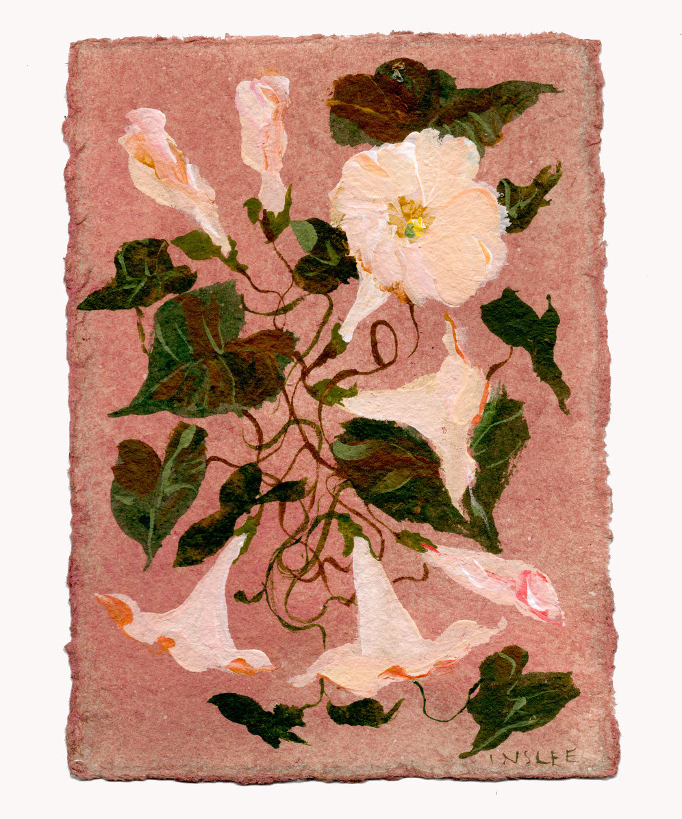 September's Morning Glory No. 12