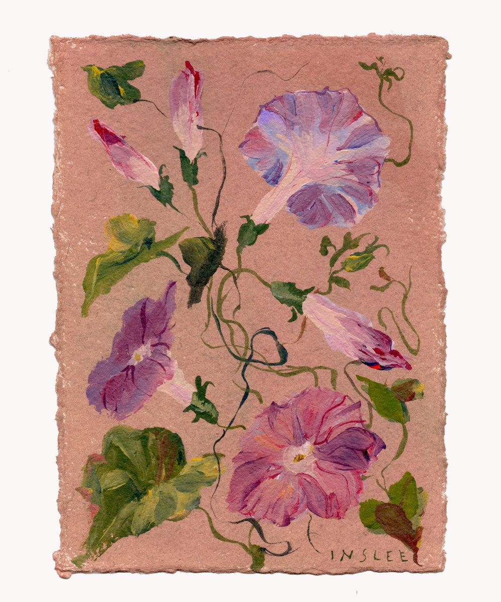 September's Morning Glory No. 4