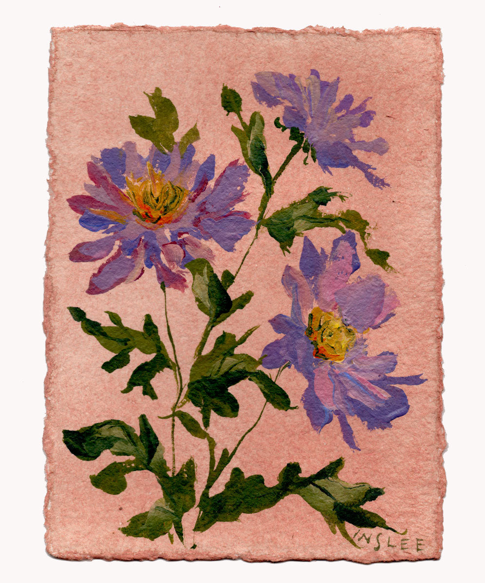 September's Aster No. 7