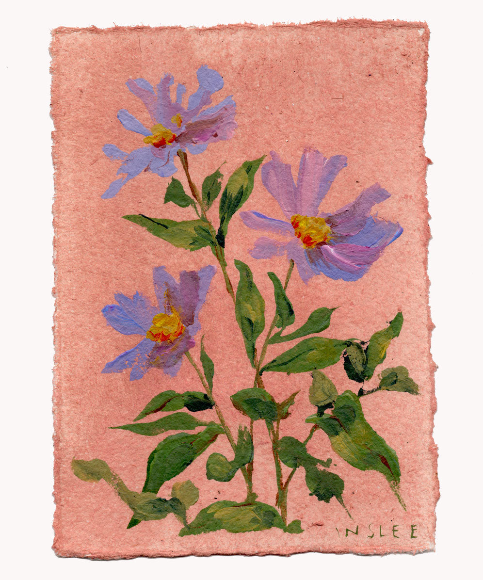 September's Aster No. 9