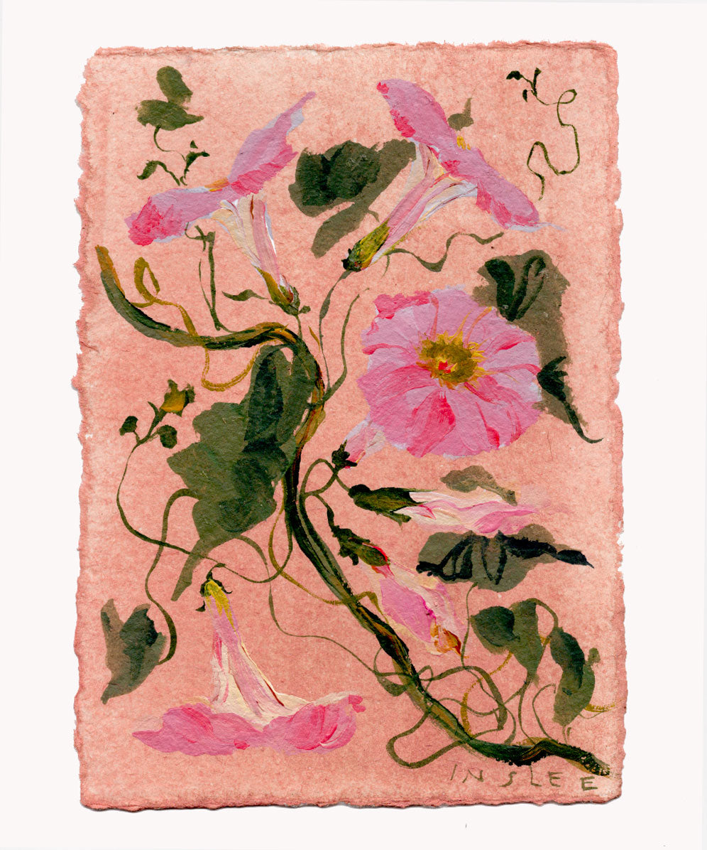 September's Morning Glory No. 6