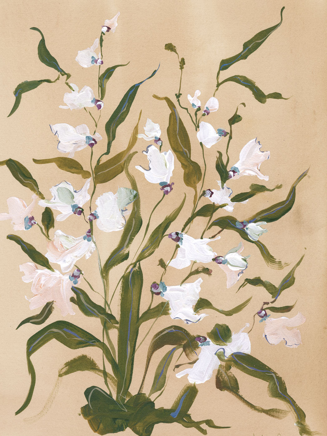 Stock Flower on Cane
