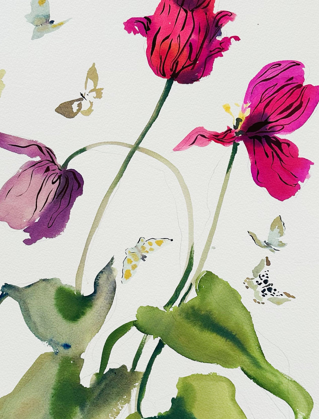 Tulip Riot No. 3