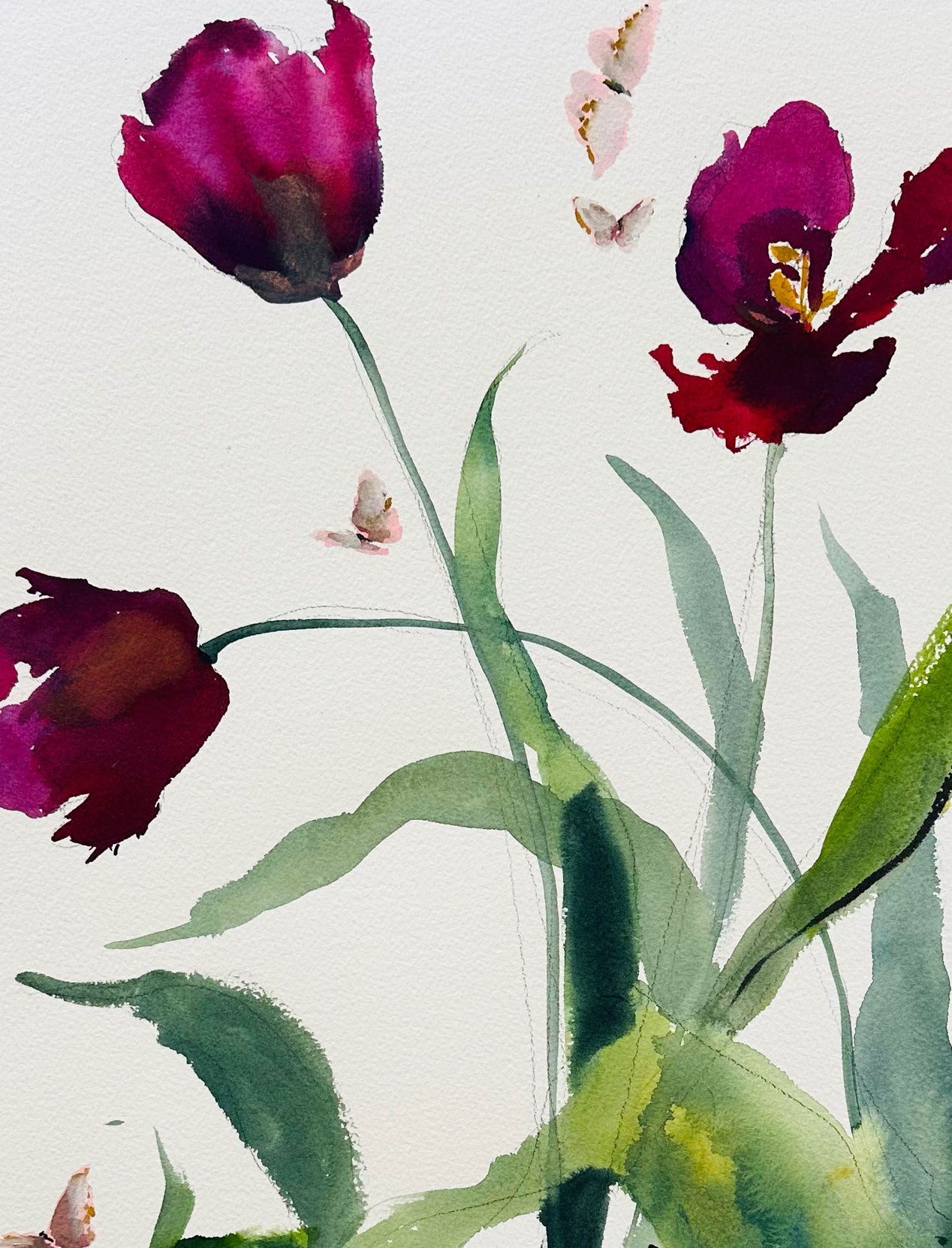 Tulip Riot No. 4