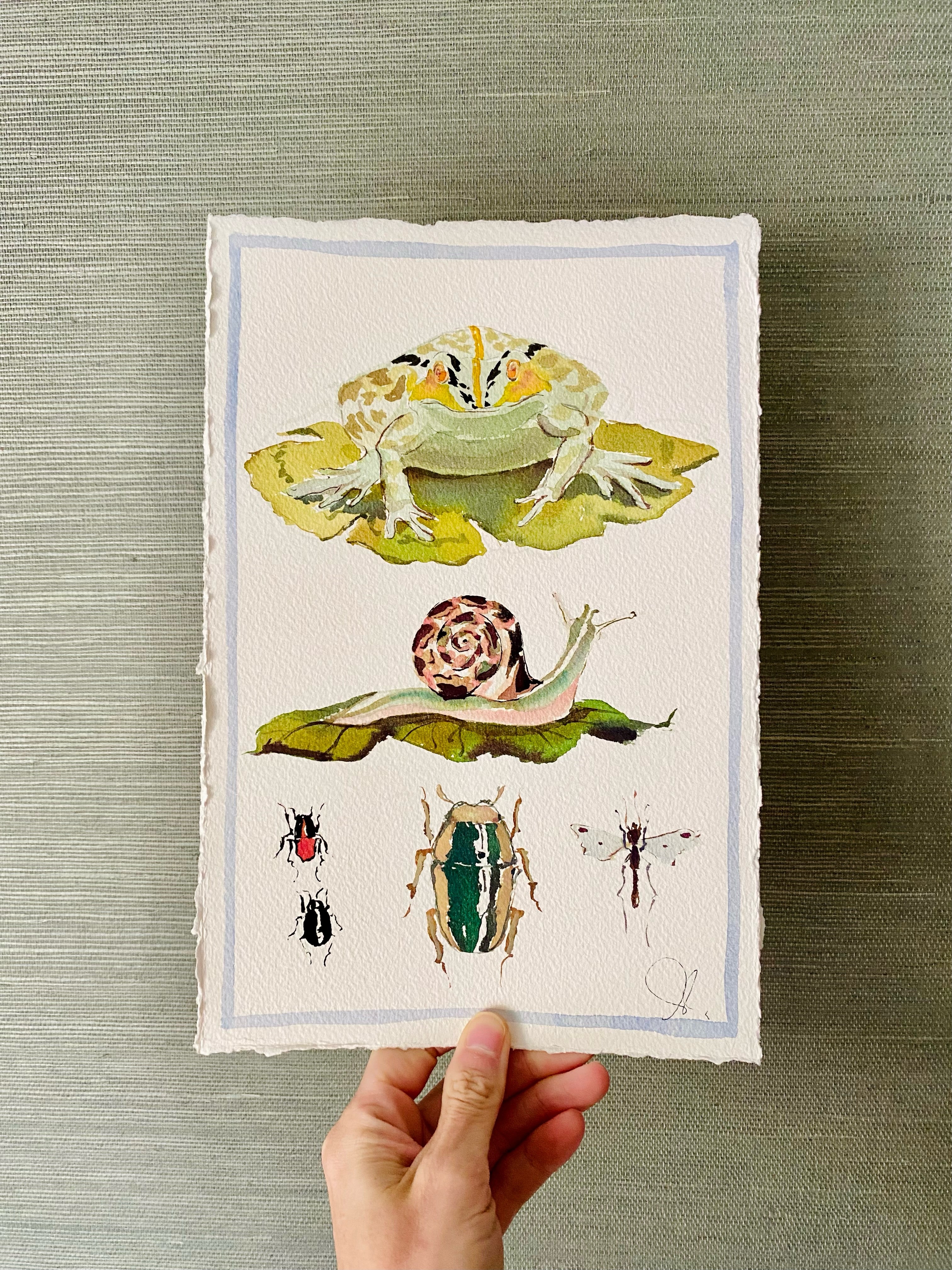 Toad on a Lily Pad and Friends