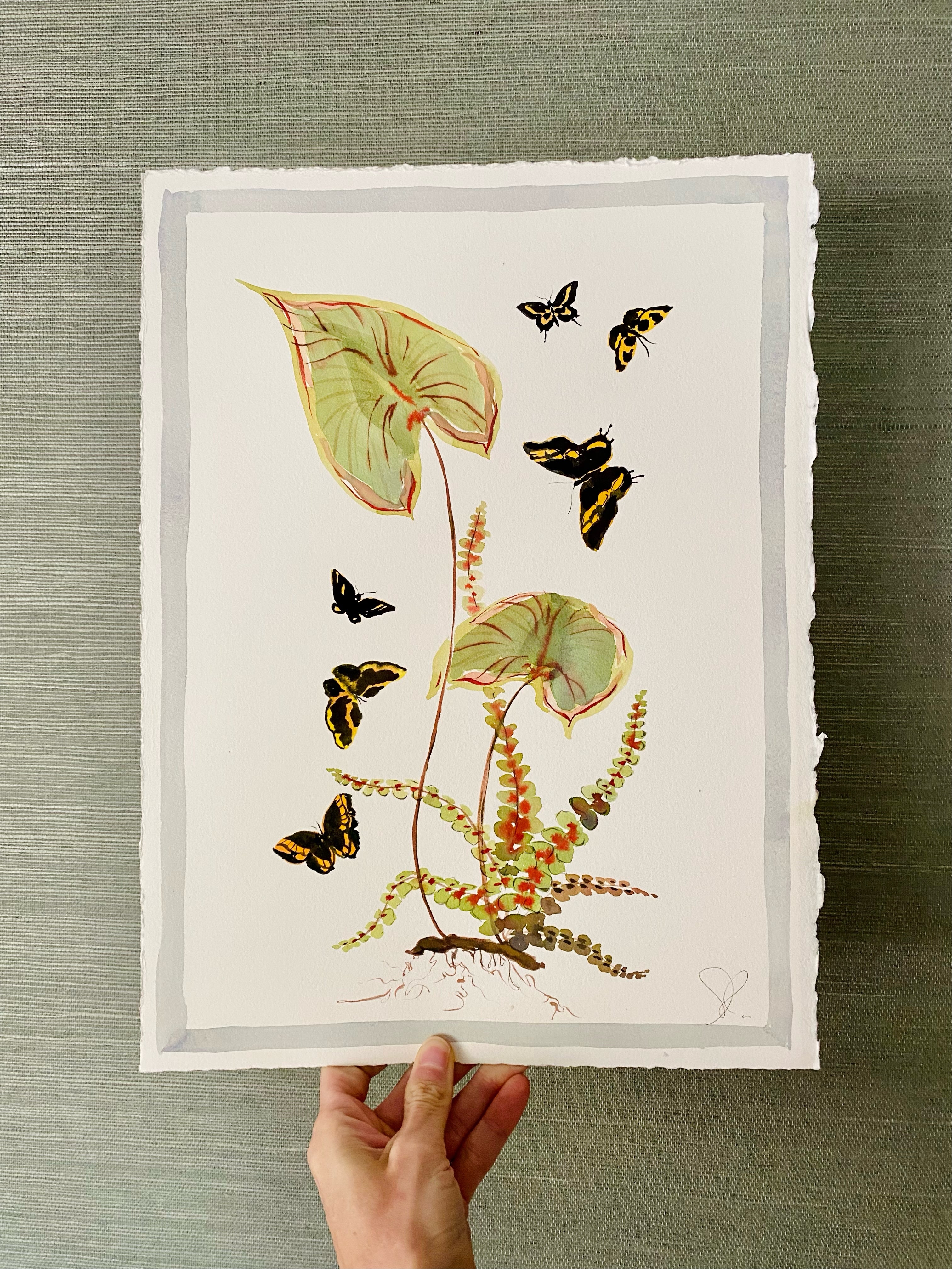 Ferns and Black Flutters