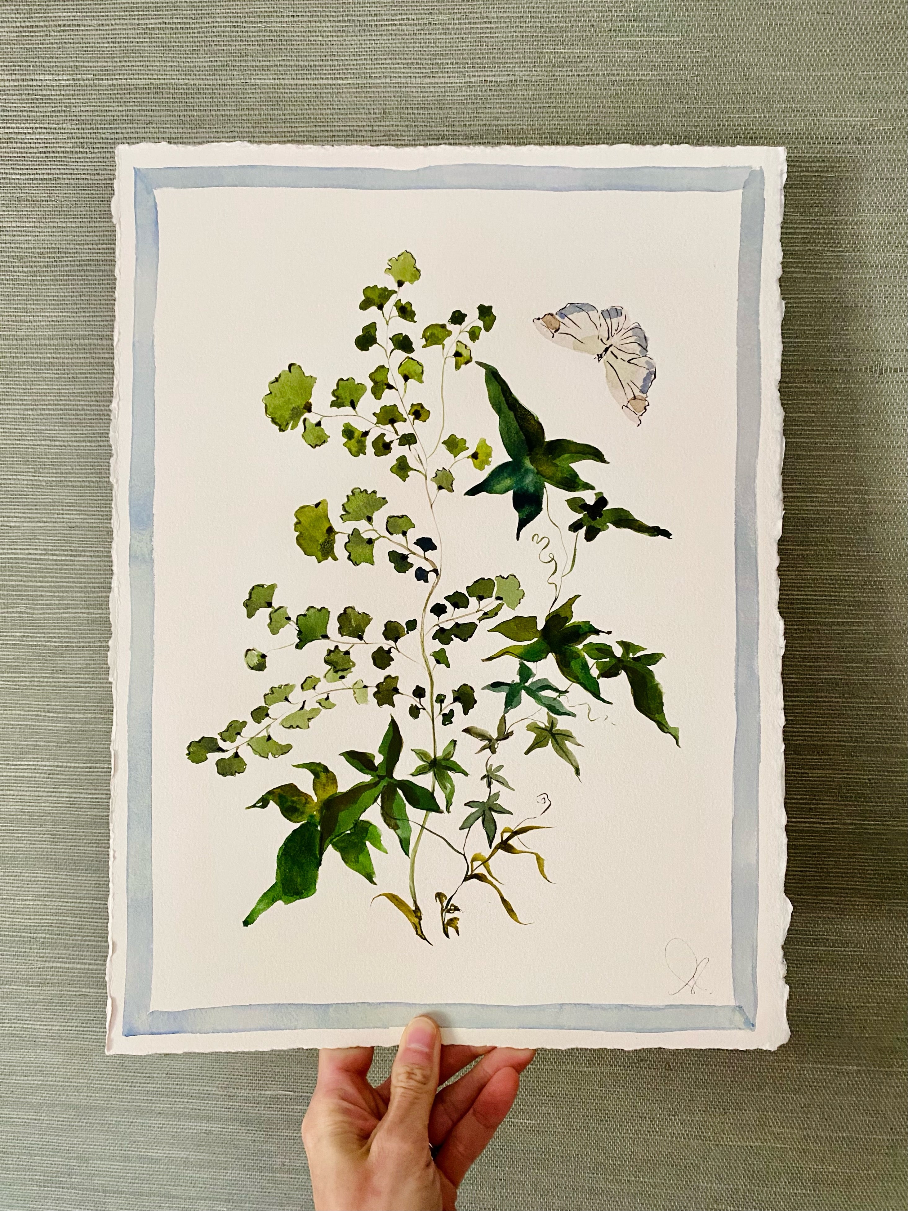Ivy and Fern