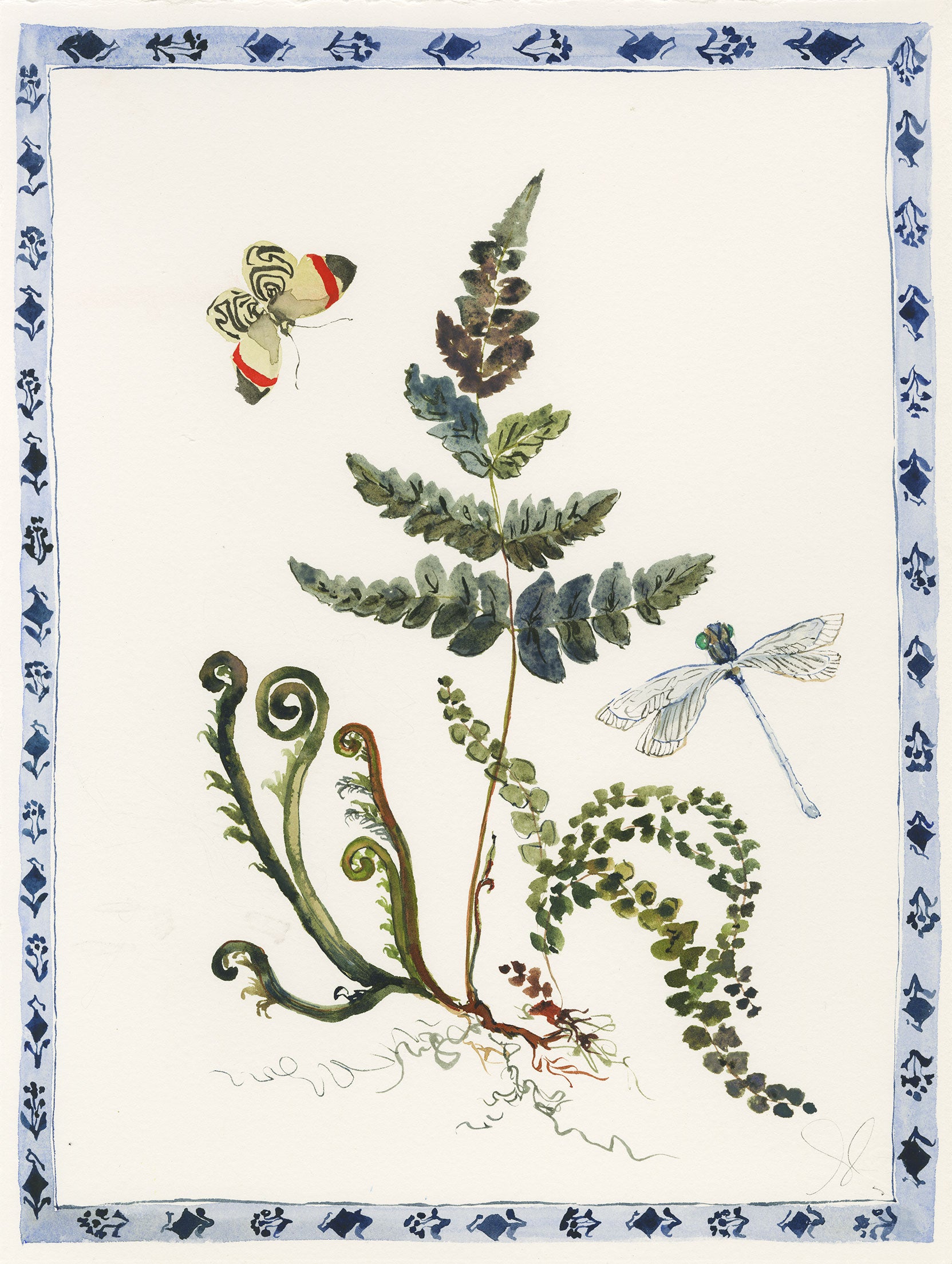 Fiddlehead and Dragonfly